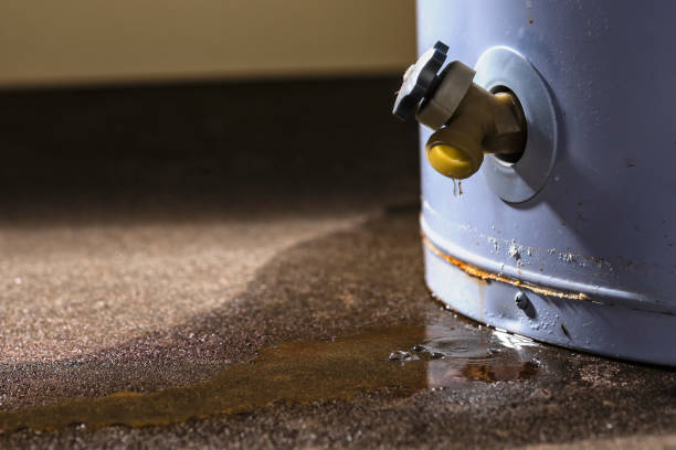 Best Sewage cleanup and water damage restoration  in Center Point, IA