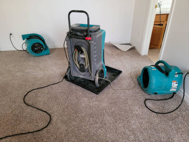 Best 24/7 water damage repair  in Center Point, IA