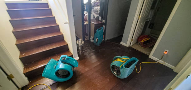 Best Residential water damage restoration  in Center Point, IA