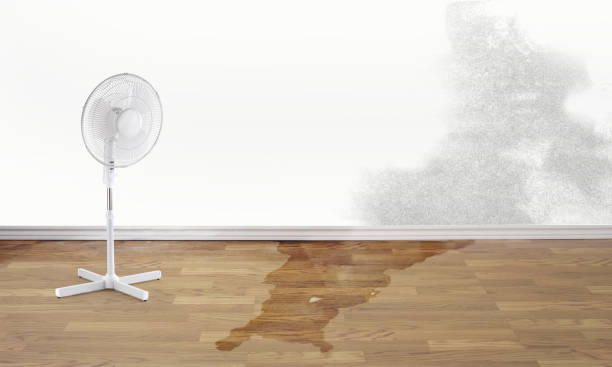 Best Local water damage restoration  in Center Point, IA