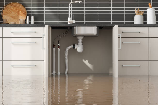 Best Water damage cleanup near me  in Center Point, IA