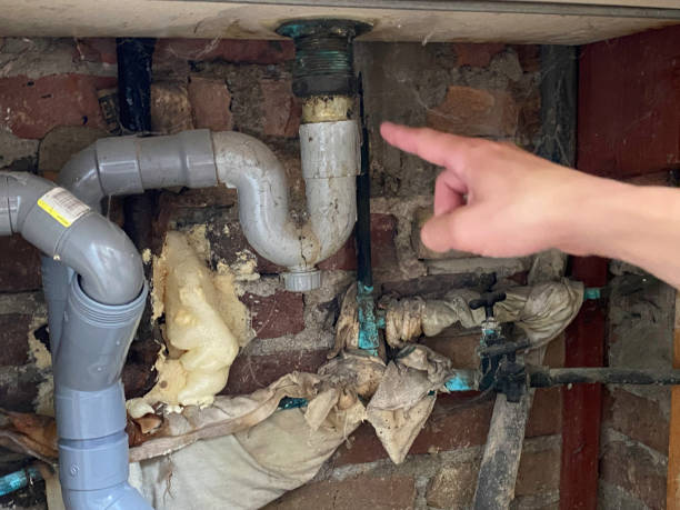 Best Carpet water damage restoration  in Center Point, IA