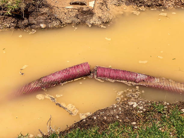 Best Residential water damage restoration  in Center Point, IA